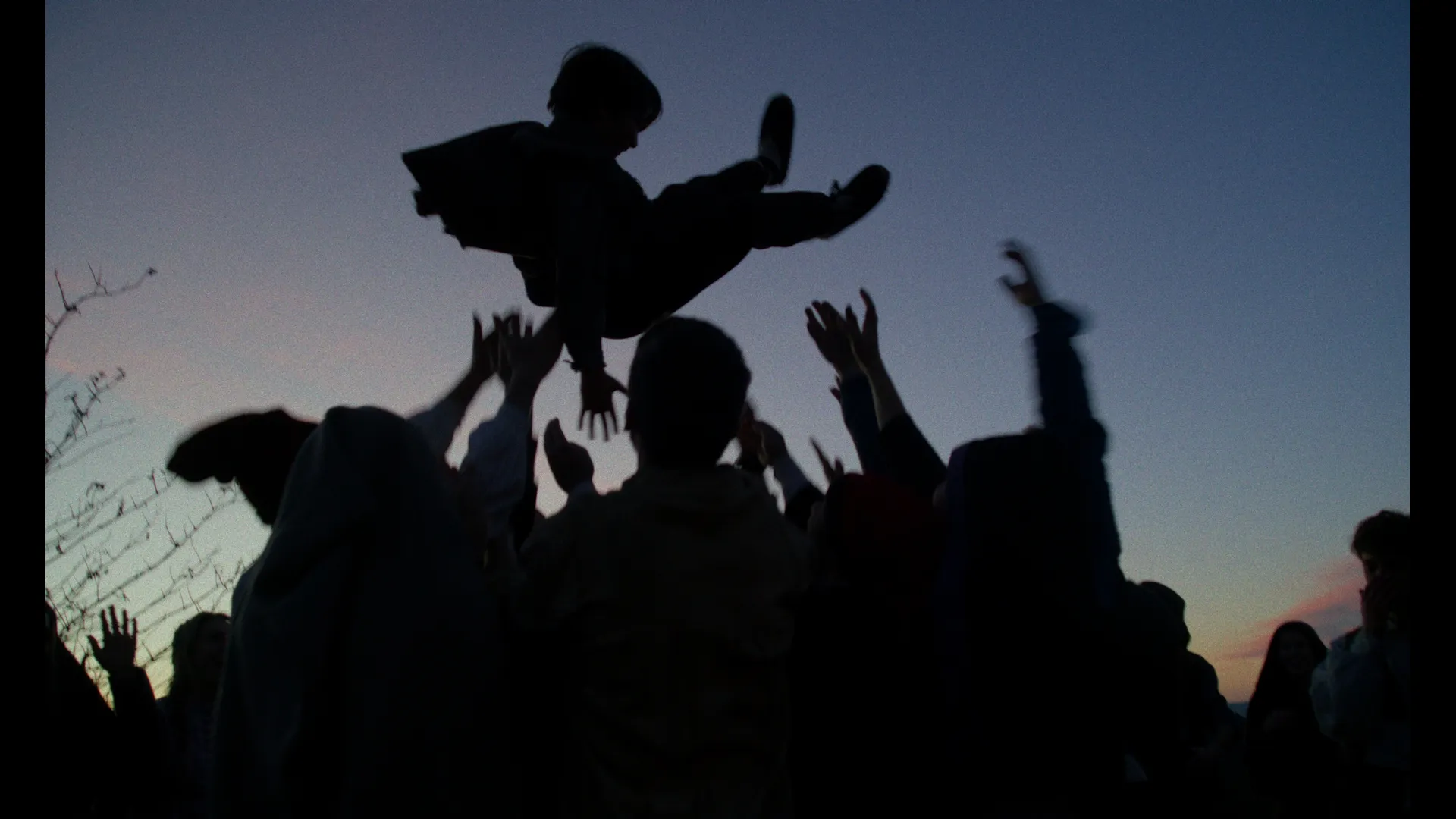 The Tyets - COTI X COTI